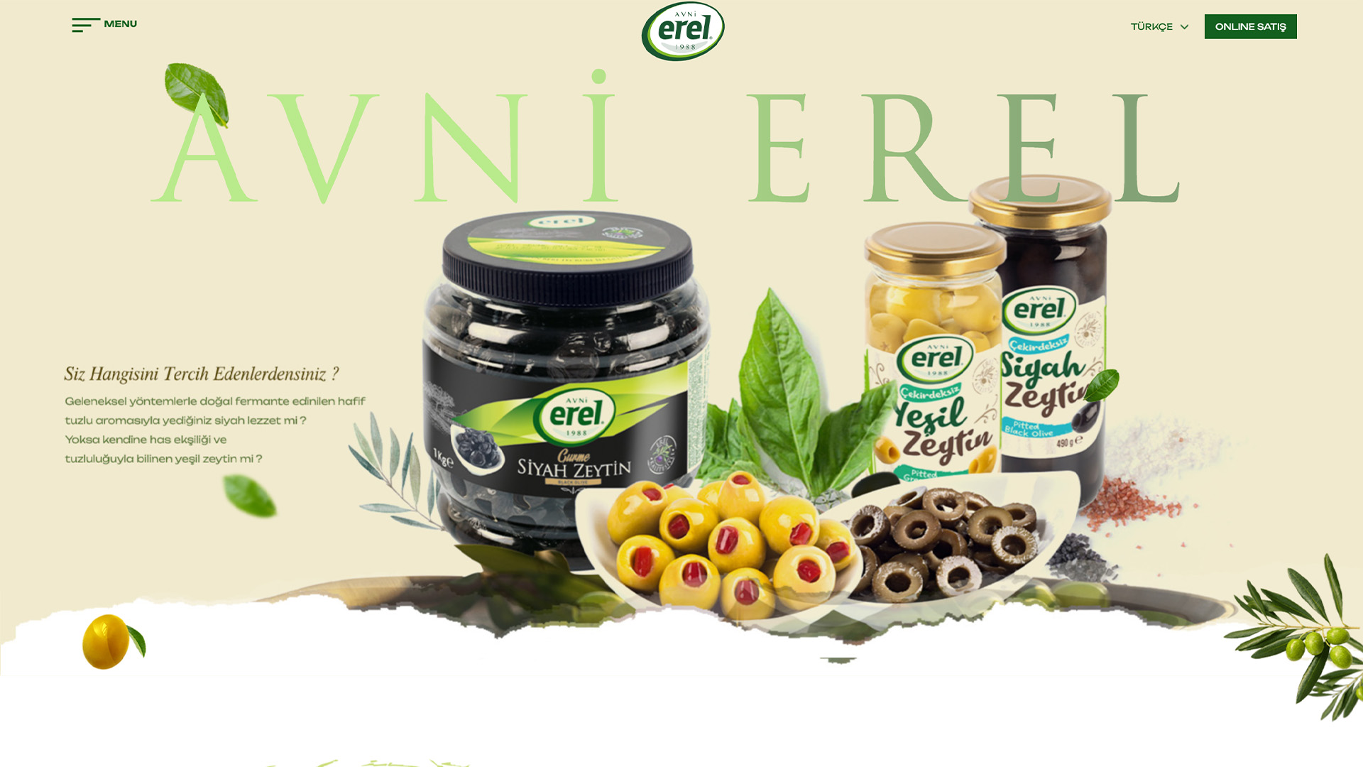 Avni Erel